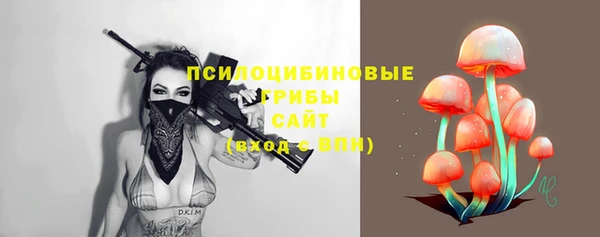 трава Инта