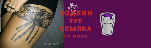 трава Инта