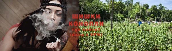трава Инта