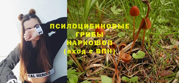 герыч Инсар