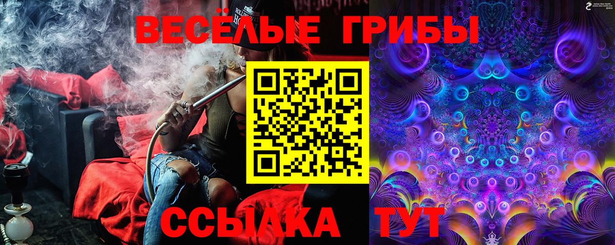 Псилоцибиновые грибы ЛСД Новочеркасск