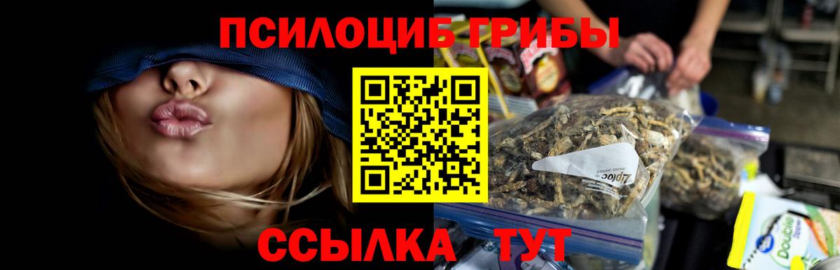 Галлюциногенные грибы Psilocybine cubensis  Вход с VPN  Новочеркасск 