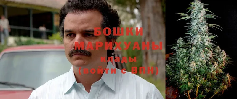 наркота Новочеркасск Марихуана Bruce Banner